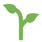 Sustainable & Sane